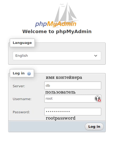 server это db имя контейнера указанное в docker-compose пользователь root и его пароль что тоже указан в docker-compose